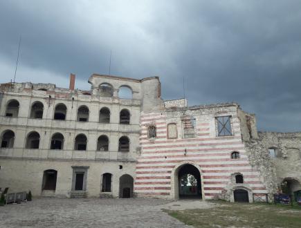 Zamek w Janowcu 