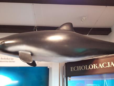 Dom Morświna w Helu 