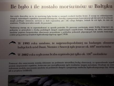 Dom Morświna w Helu 