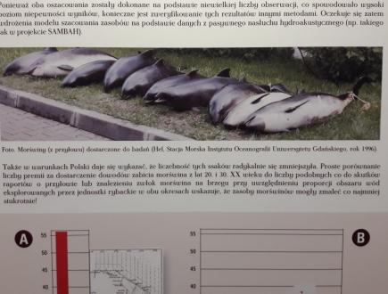 Dom Morświna w Helu 