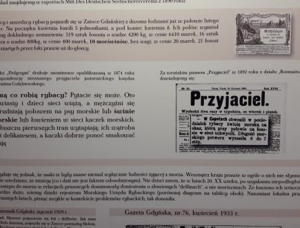 Dom Morświna w Helu 