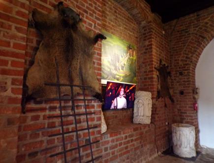 Muzeum Zbrojownia na Zamku w Liwie 