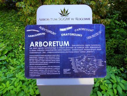 Arboretum w Rogowie 