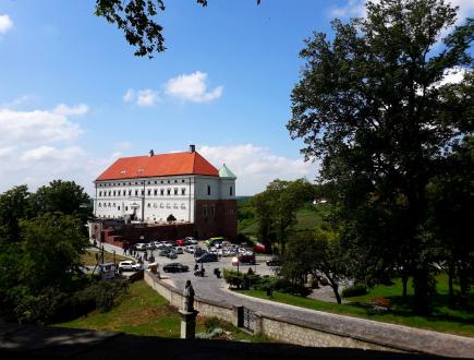 Katedra w Sandomierzu 