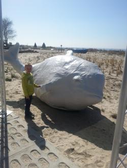 Dom Morświna w Helu 