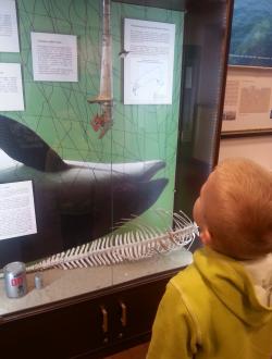 Dom Morświna w Helu 