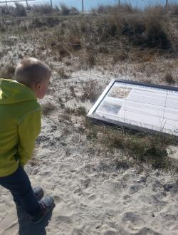 Dom Morświna w Helu 