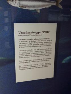 Dom Morświna w Helu 