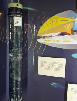 Dom Morświna w Helu 