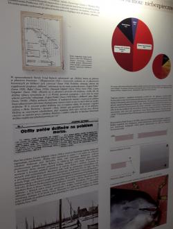 Dom Morświna w Helu 