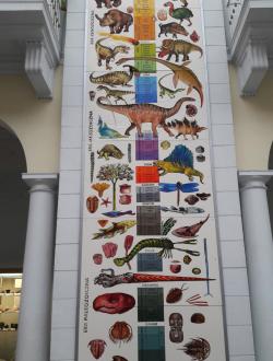 Muzeum Geologii 
